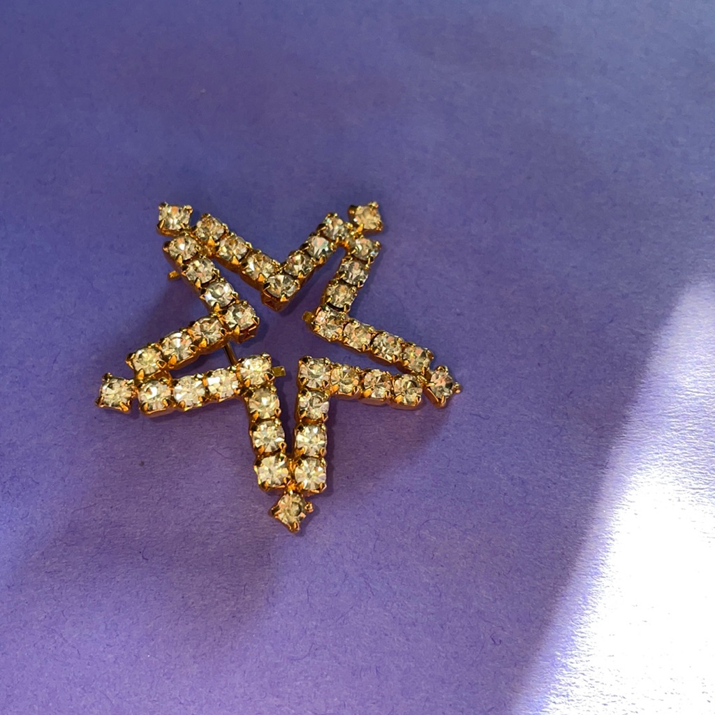 Vogue Jewelry Star Pin